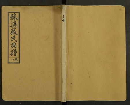 江西严氏族谱-苏溪严氏族谱 [20卷及卷首].pdf电子版插图