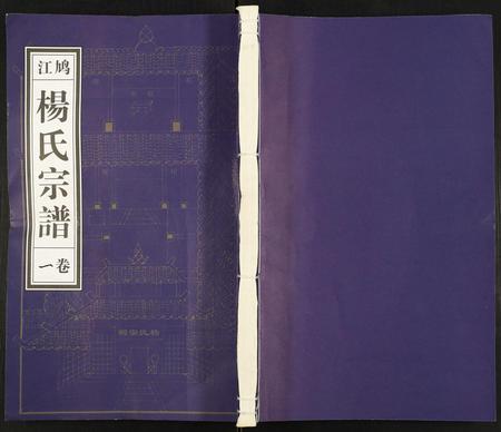 安徽杨氏族谱-杨氏宗谱.pdf电子版插图