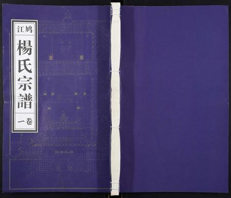 安徽杨氏族谱-杨氏宗谱[31卷].pdf电子版插图