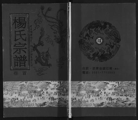 安徽杨氏族谱-杨氏宗谱.pdf电子版插图
