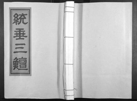 江西杨氏族谱-杨氏大成族谱.pdf电子版插图