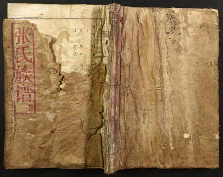 福建廖氏族谱-廖氏族谱.pdf电子版