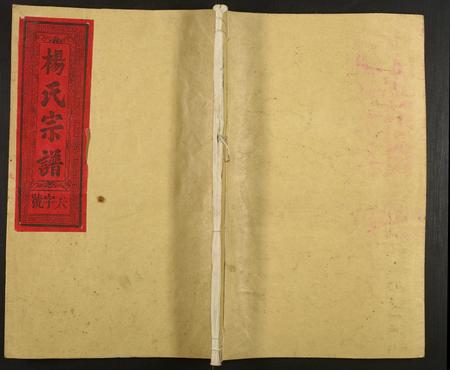 江西杨氏族谱-杨氏宗谱.pdf电子版插图