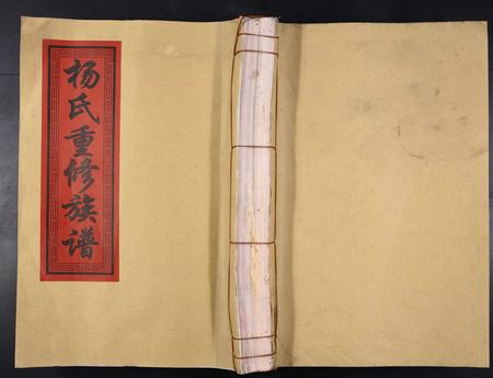 江西杨氏族谱-杨氏重修族谱[不分卷].pdf电子版插图