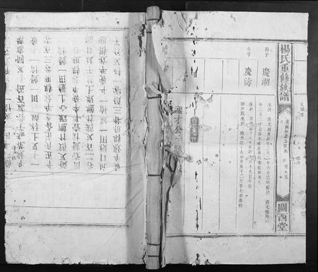 江西杨氏族谱-杨氏重修族谱[不分卷].pdf电子版插图