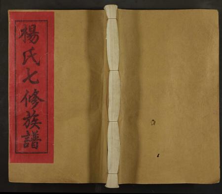 江西杨氏族谱-桥头杨氏族谱 [不分卷].pdf电子版插图