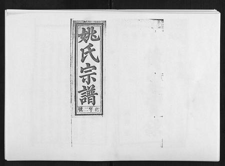 安徽姚氏族谱-姚氏宗谱 [25卷末1卷].pdf电子版插图