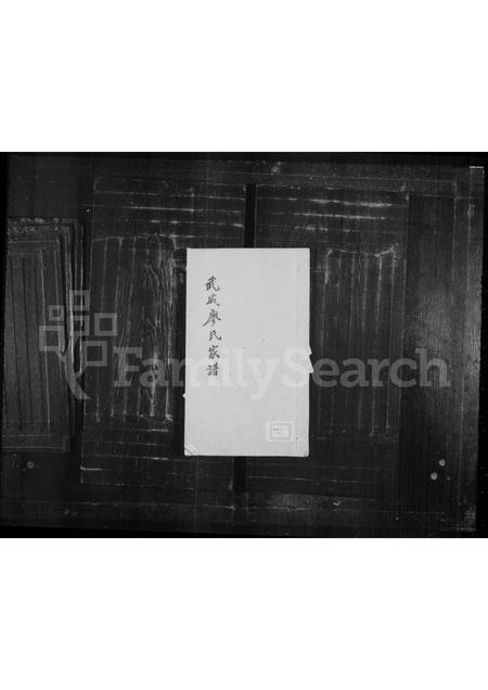 福建廖氏族谱-武威廖氏家谱.pdf电子版