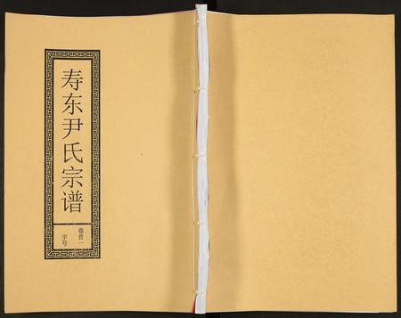 安徽尹氏族谱-尹氏宗谱.pdf电子版插图