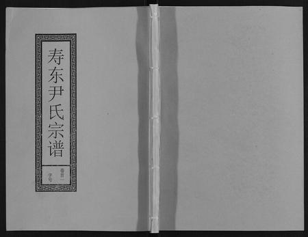 安徽尹氏族谱-尹氏宗谱[63卷首2卷].pdf电子版插图
