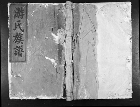江西游氏族谱-游氏族谱[不分卷].pdf电子版插图