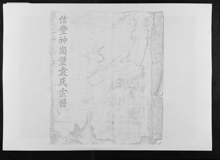 江西袁氏族谱-信邑神岗堡袁氏三修族谱[不分卷].pdf电子版插图