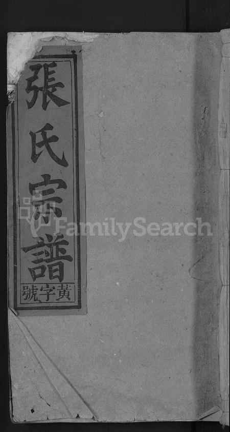 安徽张氏族谱-张氏宗谱 [4卷,含卷首].pdf电子版插图