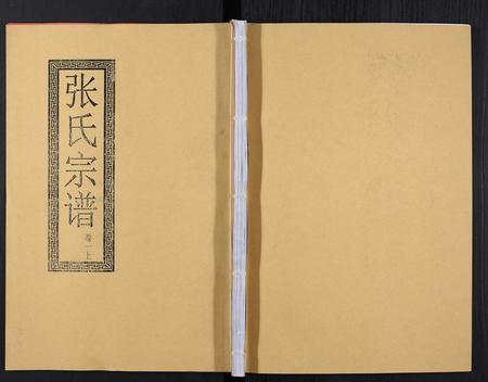 安徽张氏族谱-张氏宗谱[12卷].pdf电子版插图