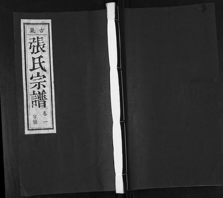 安徽张氏族谱-张氏宗谱[12卷].pdf电子版插图