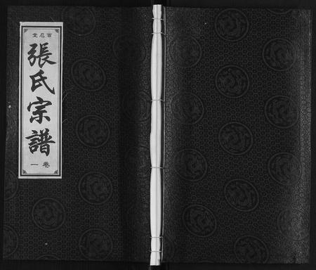 安徽张氏族谱-张氏宗谱[14卷].pdf电子版插图
