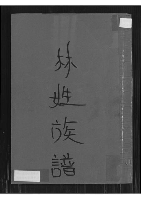 福建林氏族谱-林姓族谱.pdf电子版