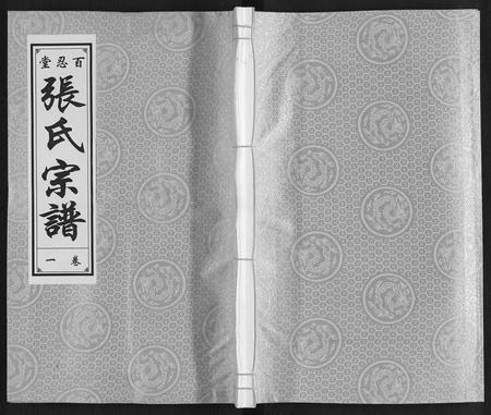 安徽张氏族谱-张氏宗谱[9卷].pdf电子版插图