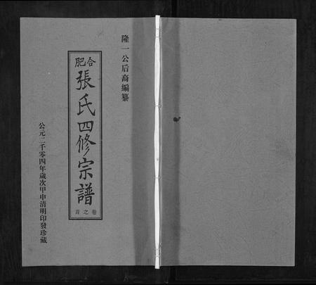 安徽张氏族谱-张氏宗谱[9卷首末各1卷].pdf电子版插图