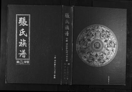 安徽张氏族谱-张氏族谱[25卷首4卷].pdf电子版插图