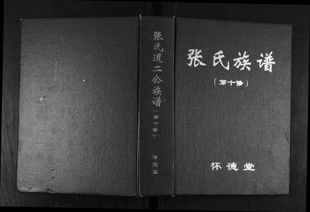 安徽张氏族谱-张氏道二公族谱.pdf电子版插图