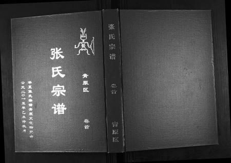 江西张氏族谱-张氏宗谱[12卷首1卷].pdf电子版插图