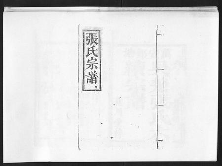 江西张氏族谱-张氏族谱[10卷].pdf电子版插图