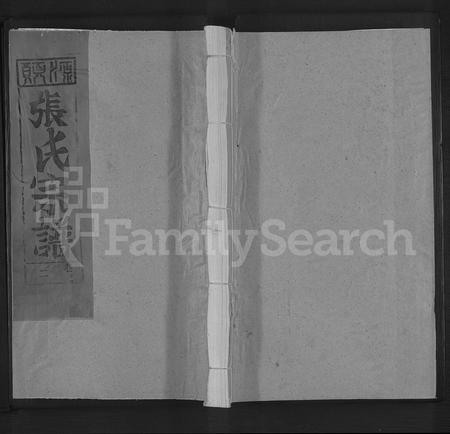 江西张氏族谱-清河张氏宗谱 [残卷].pdf电子版