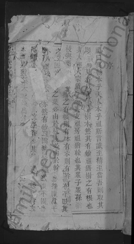 江西张氏族谱-清河张氏重修族谱 [不分卷].pdf电子版