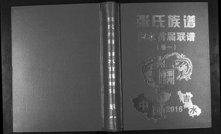 江西张氏族谱-华夏张氏统谱.吉水首届联谱[3卷].pdf电子版插图