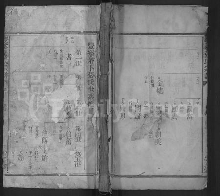 江西张氏族谱-丰谿张氏宗谱 [不分卷].pdf电子版插图