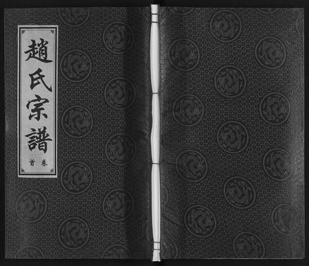 安徽赵氏族谱-赵氏宗谱.pdf电子版插图