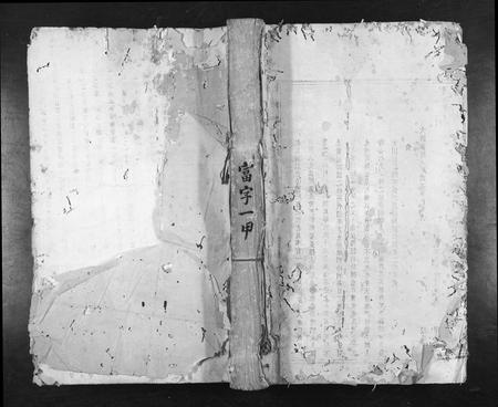 江西锺氏族谱-兴国衣锦莲塘锺氏重修族谱[不分卷].pdf电子版插图