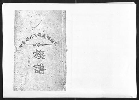 江西锺氏族谱-锺氏三塘族谱[不分卷].pdf电子版插图