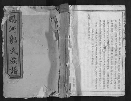 江西邹氏族谱-鹏洲邹氏族谱[不分卷].pdf电子版插图