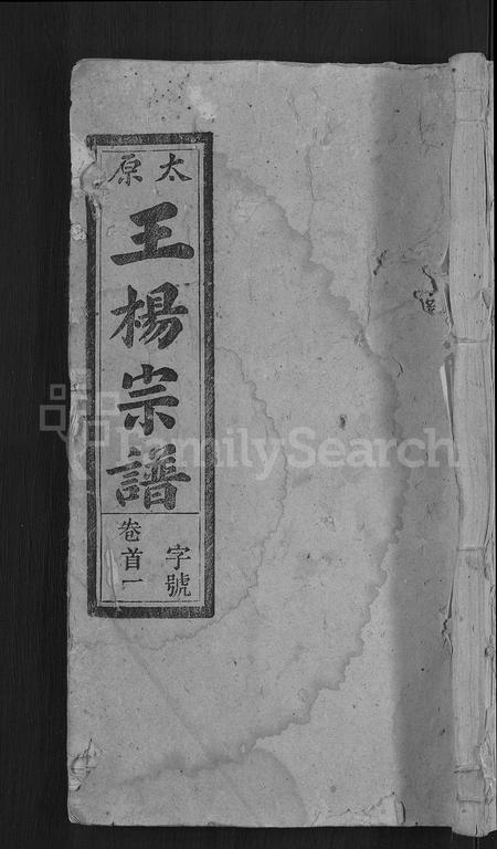 安徽王杨氏族谱-王杨宗谱 [43卷,首末各2卷].pdf电子版插图