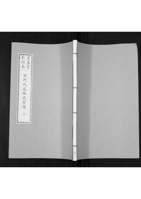 福建林氏族谱-西河九龙林氏族谱[2册].pdf电子版