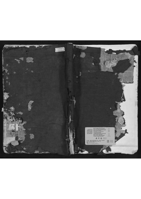 福建林氏族谱-锦田西河林氏家谱.pdf电子版插图 福建林氏族谱-锦田西河林氏家谱.pdf电子版插图