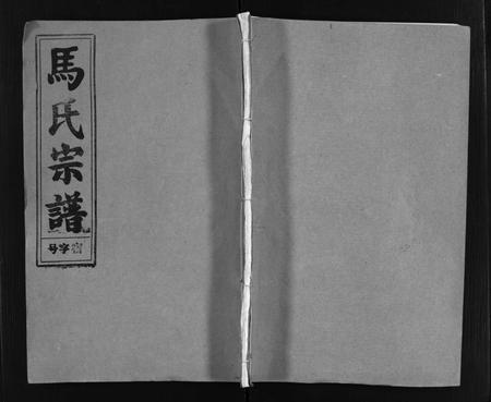 安徽未知族谱-马氏宗谱 [26卷,卷首上下,卷末各1卷].pdf电子版插图