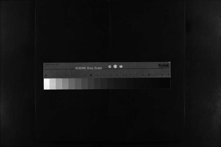 江西邹氏族谱-邹东海公九修族谱 [17卷,首3卷].pdf电子版插图