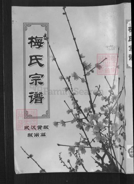 湖北省孝感市孝昌县梅氏汝南堂族谱-梅氏宗谱.武汉黄陂陂南篇.pdf电子版