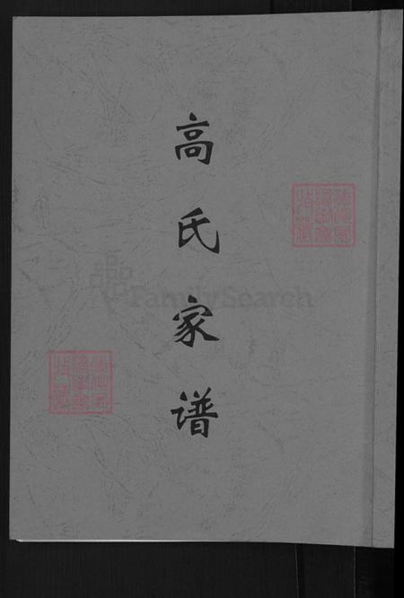 河南省郑州市登封市高氏族谱-高氏家谱.pdf电子版