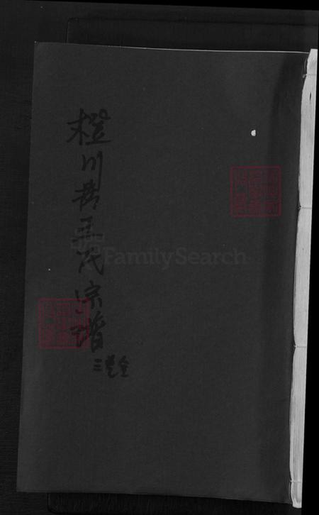 浙江省衢州王氏族谱-橙川王氏宗谱.pdf电子版插图 浙江省衢州王氏族谱-橙川王氏宗谱.pdf电子版插图