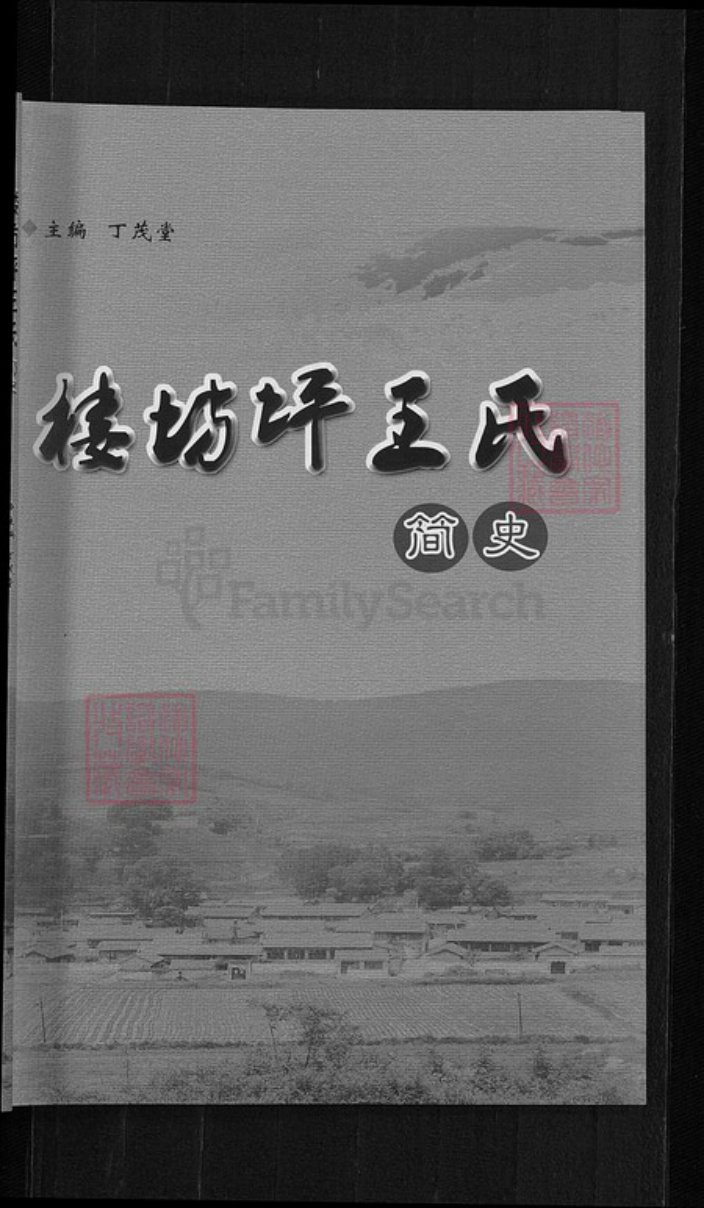 山西省吕梁市岚县界河口镇王氏族谱-楼坊坪王氏.pdf电子版插图 山西省吕梁市岚县界河口镇王氏族谱-楼坊坪王氏.pdf电子版插图