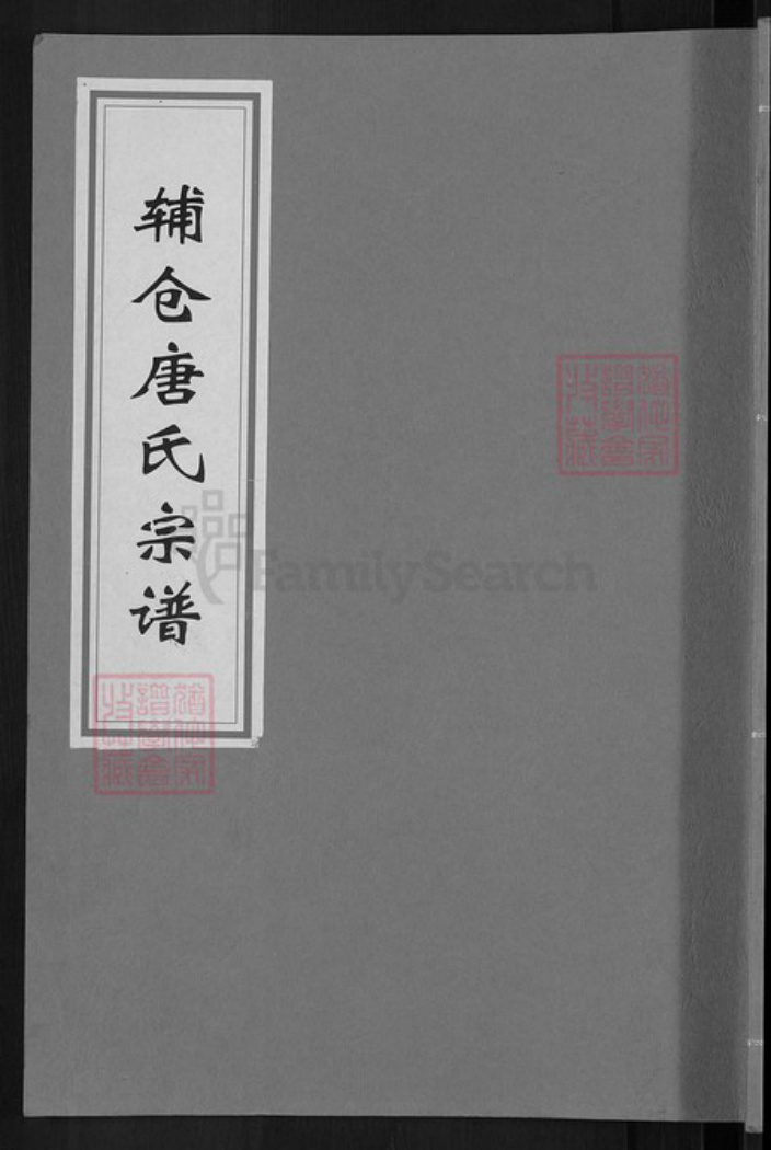 浙江省金华市婺城区唐氏报本堂族谱-辅仓唐氏宗谱.pdf电子版