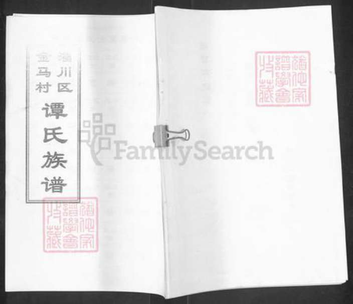 山东省淄博市淄川区谭氏族谱-淄川区金马村谭氏族谱.pdf电子版插图 山东省淄博市淄川区谭氏族谱-淄川区金马村谭氏族谱.pdf电子版插图