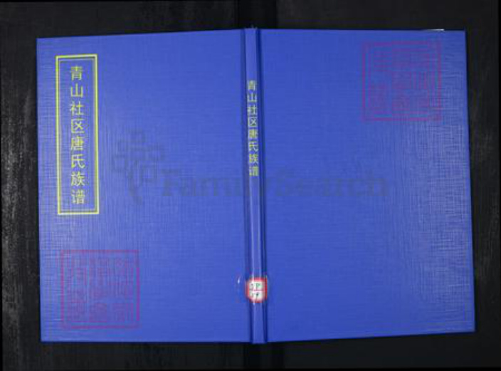 山东省青岛市崂山区唐氏族谱-青山社区唐氏族谱.pdf电子版插图 山东省青岛市崂山区唐氏族谱-青山社区唐氏族谱.pdf电子版插图