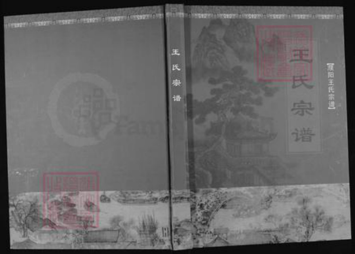 河南省濮阳市华龙区王氏族谱-濮阳王氏宗谱.pdf电子版