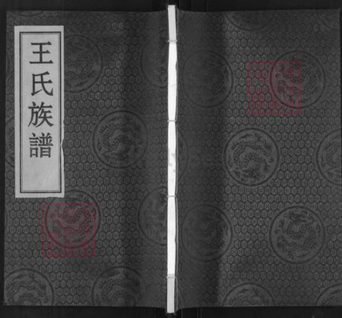 河北省沧州沧州地区南皮王氏族谱-王氏族谱.pdf电子版