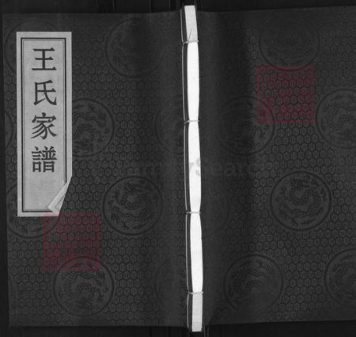 河北省沧州黄骅市黄骅镇王氏族谱-王氏家谱.pdf电子版